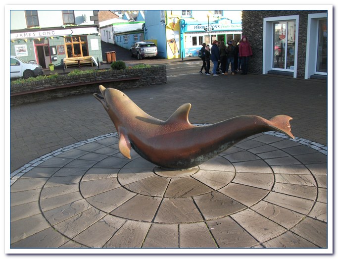 DingleDolphin