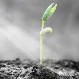 2020 11 17 20 20 52 patience