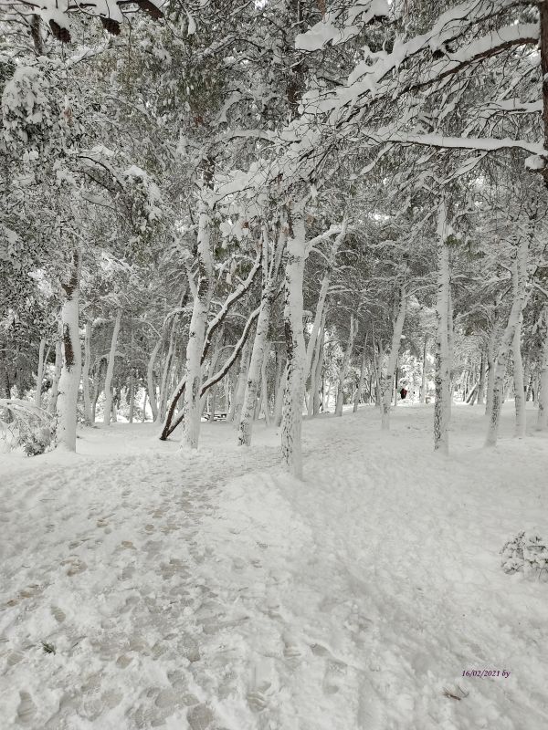 Χιονισμένο μαγικό τοπίο