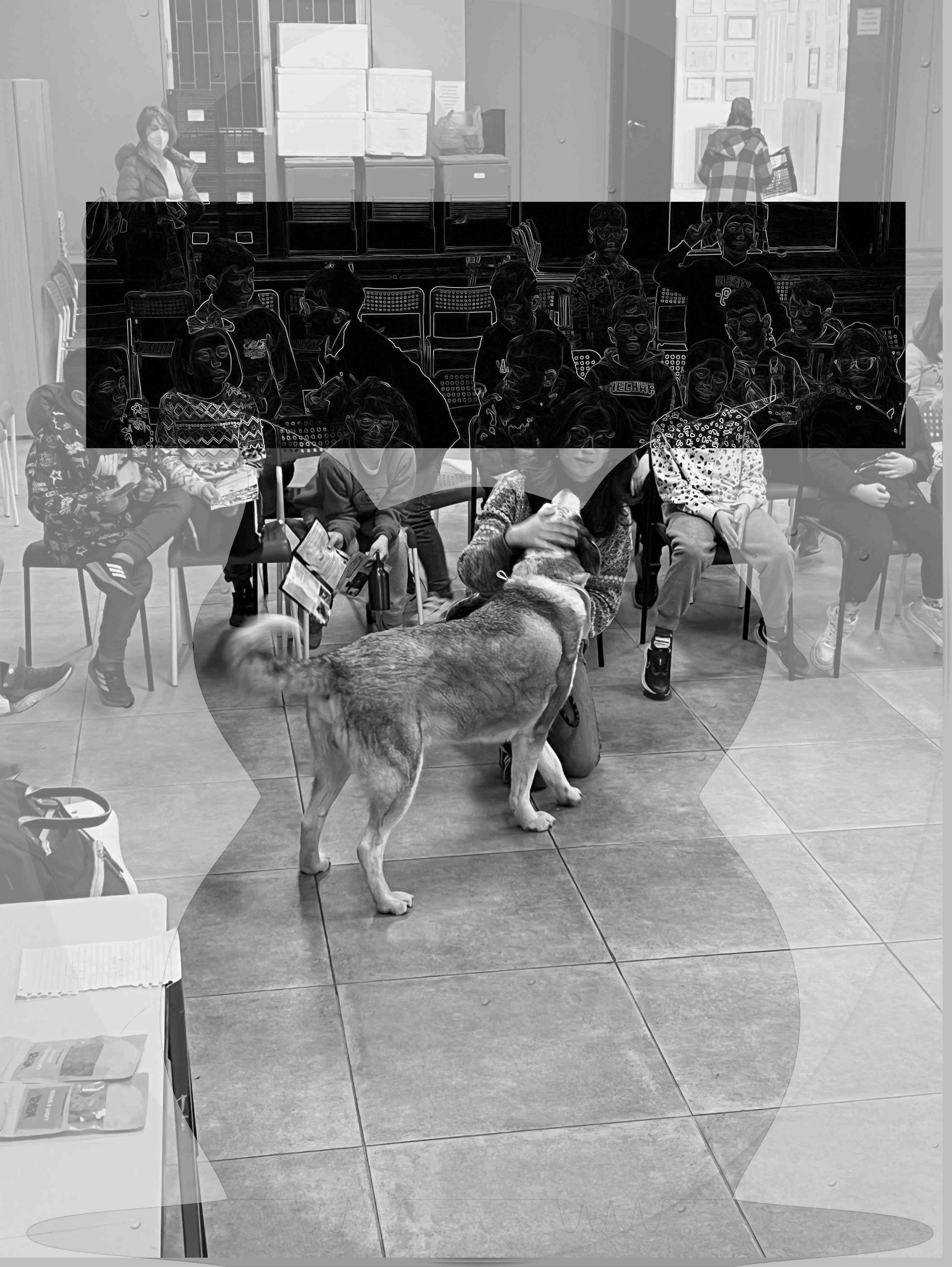 φιλοζωία Β δημοτικού